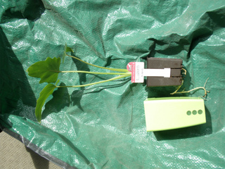 P9250145.jpg